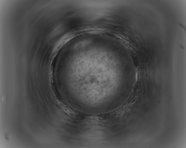 X0000093170339200709261533