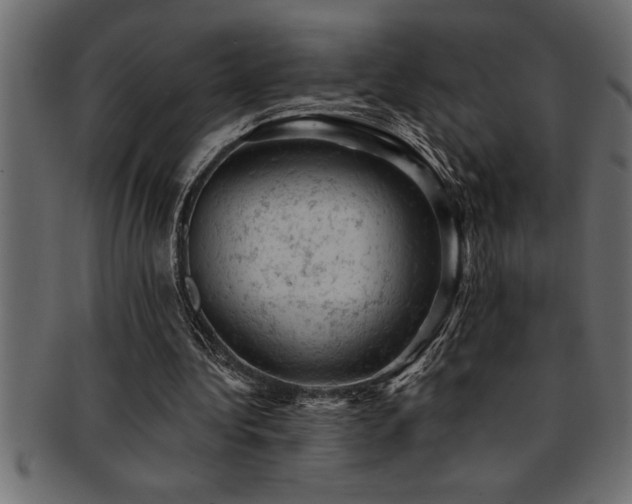X0000093170340200709261533