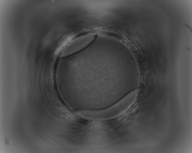 X0000093170341200709261533