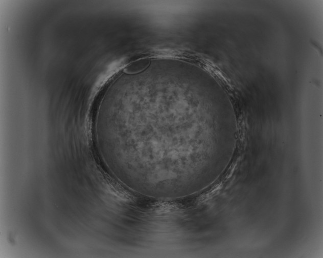 X0000093170343200709261533