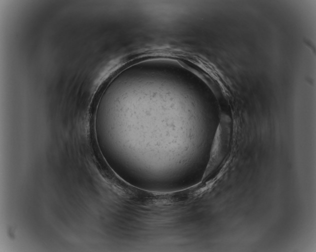 X0000093170344200709261533