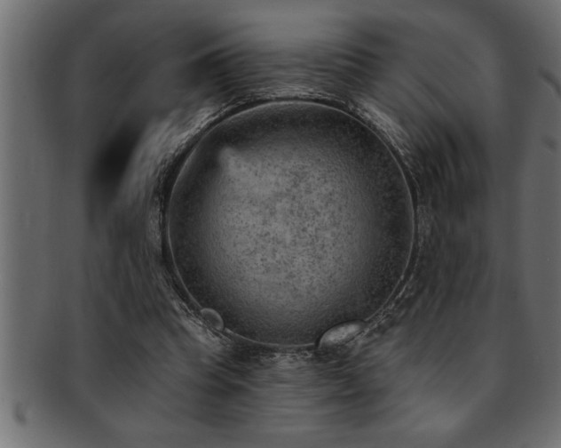 X0000093170345200709261533
