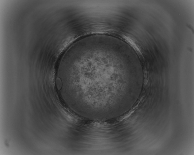 X0000093170346200709261533