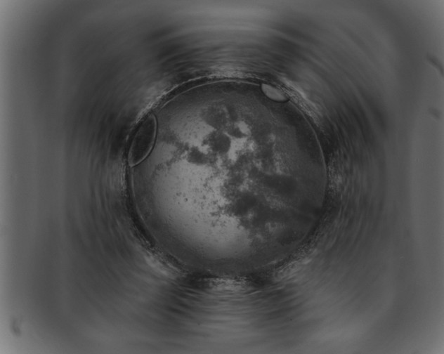 X0000093170347200709261533