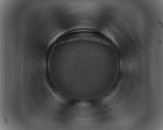 X0000093170348200709261533