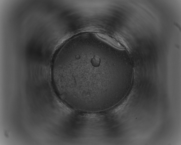 X0000093170349200709261533