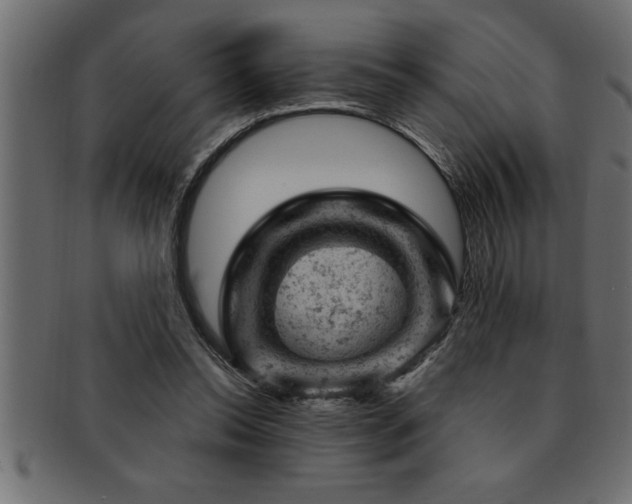 X0000093170350200709261533