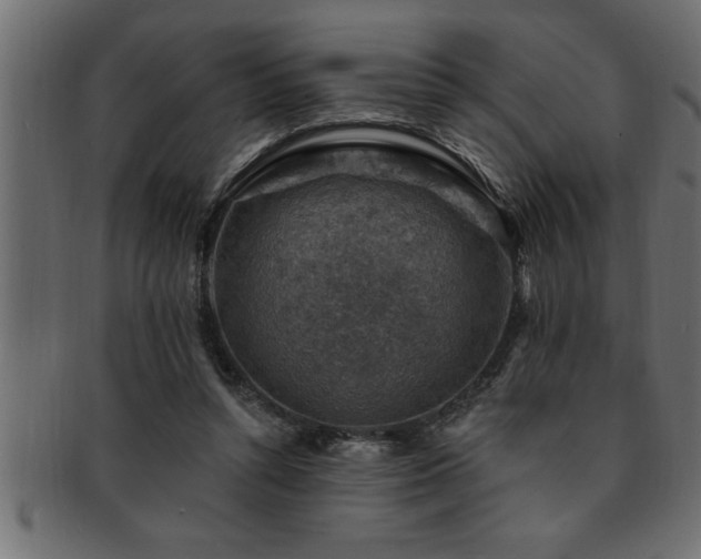 X0000093170352200709261533