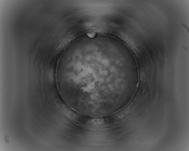 X0000093170353200709261533