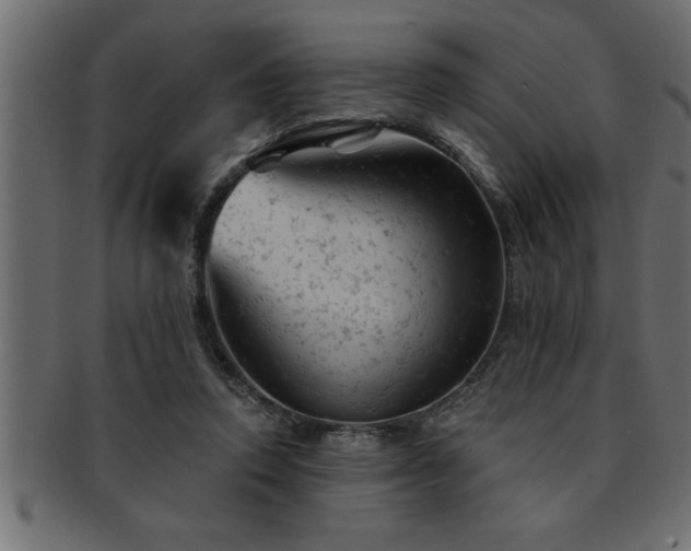 X0000093170354200709261533
