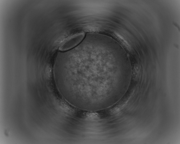 X0000093170355200709261533