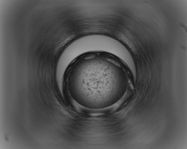 X0000093170356200709261533