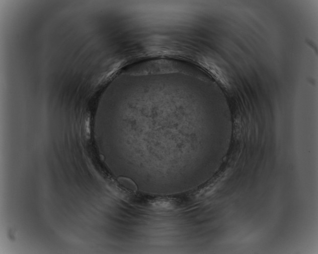 X0000093170358200709261533