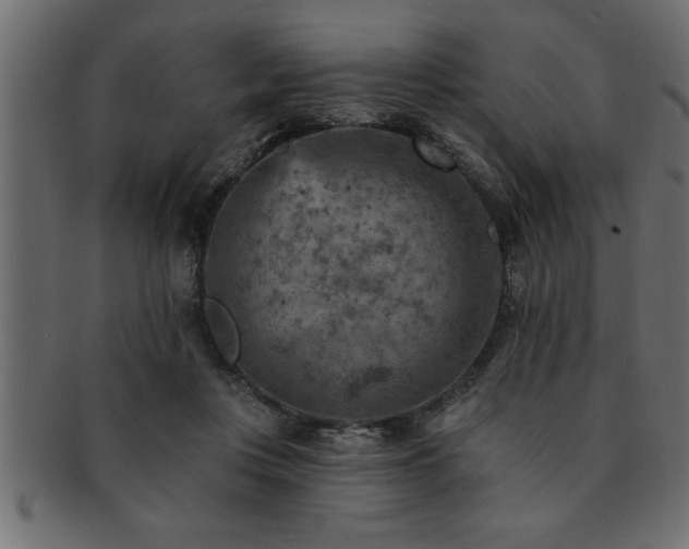 X0000093170359200709261533