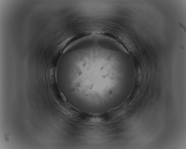 X0000093170360200709261533