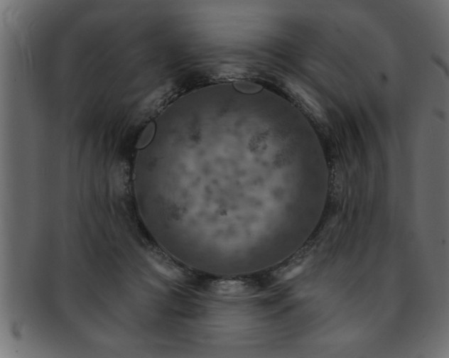 X0000093170361200709261533
