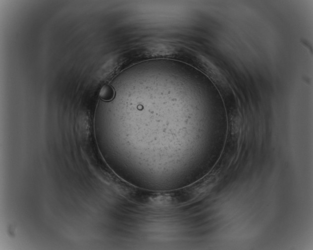 X0000093170362200709261533