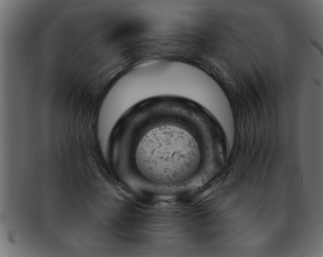 X0000093170364200709261533