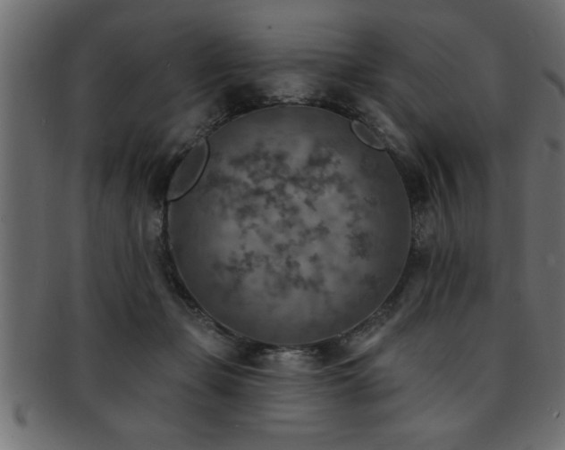 X0000093170365200709261533