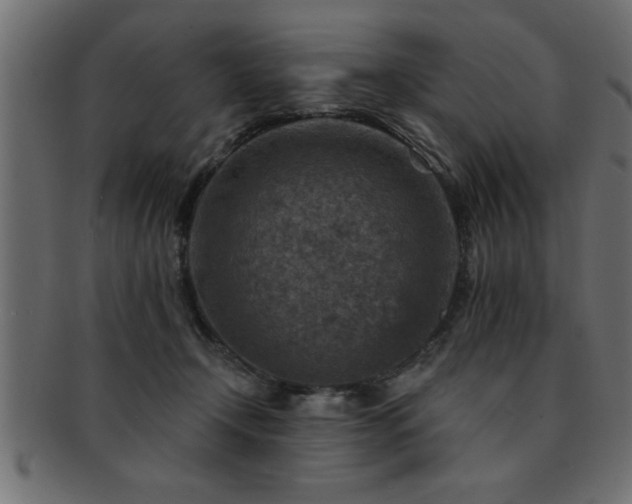 X0000093170366200709261533