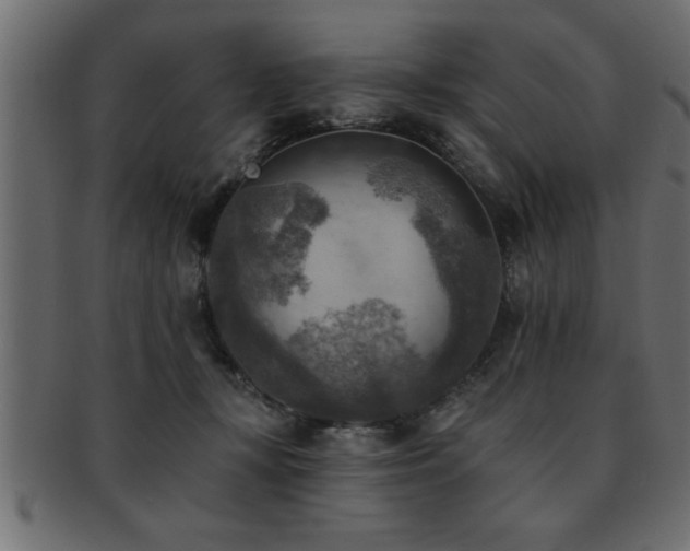 X0000093170367200709261533