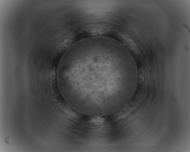 X0000093170369200709261533