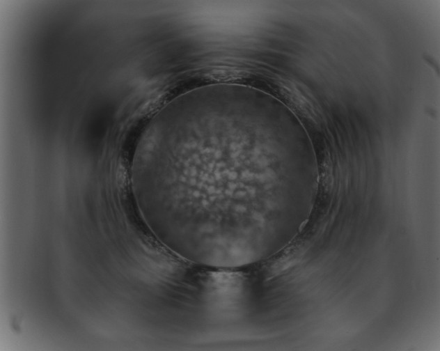 X0000093170371200709261533