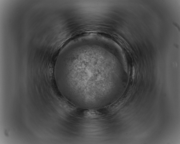 X0000093170372200709261533