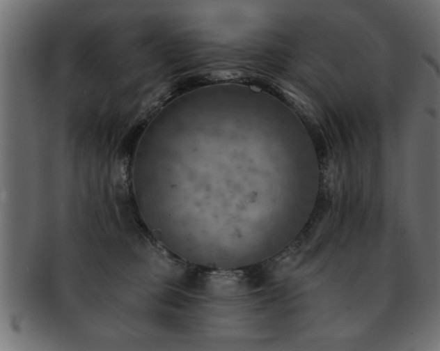 X0000093170373200709261533