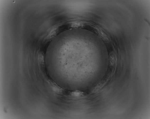 X0000093170375200709261533