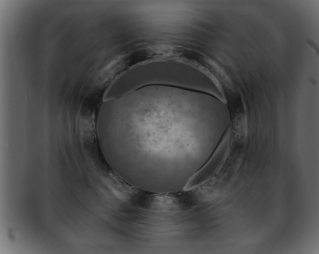 X0000093170376200709261533