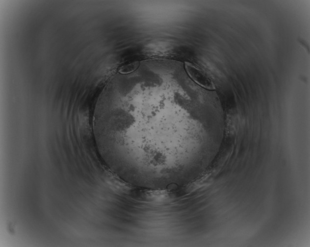 X0000093170377200709261533