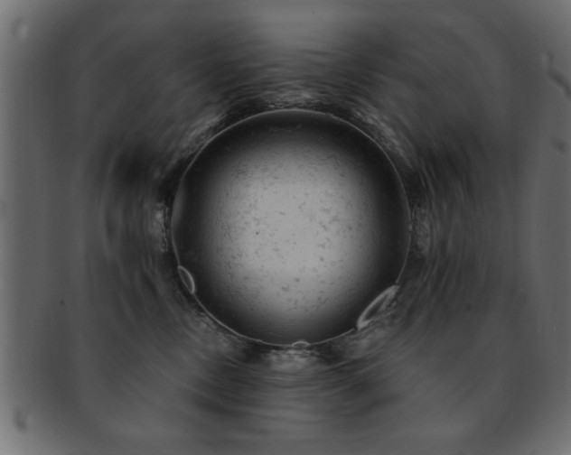 X0000093170378200709261533