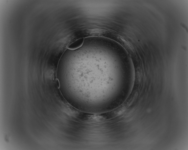 X0000093170379200709261533