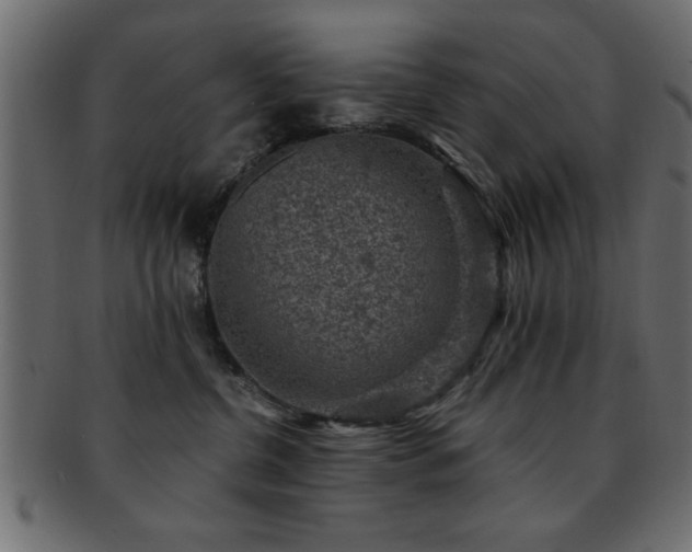 X0000093170380200709261533
