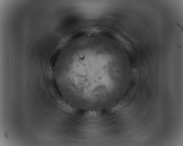 X0000093170381200709261533