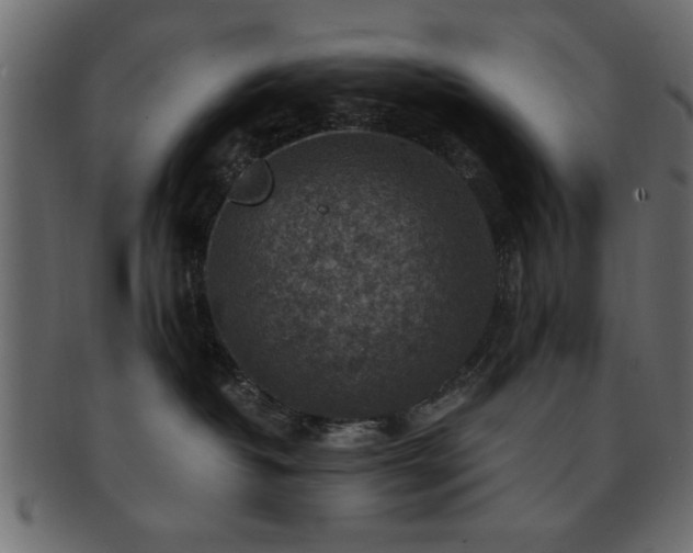 X0000093170382200709261533