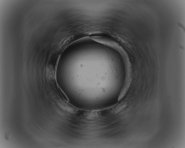X0000093170384200709261533
