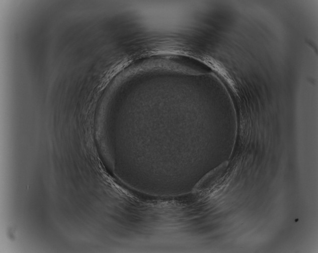 X0000093170385200709261532