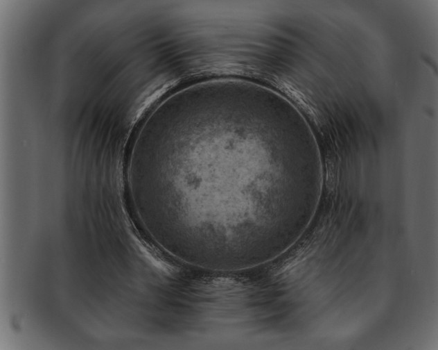 X0000093170390200709261532