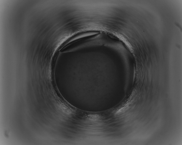 X0000093170391200709261532