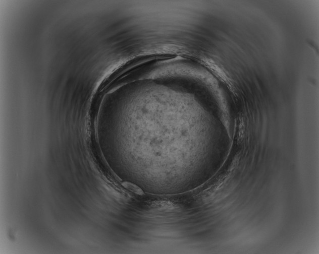 X0000093170392200709261532