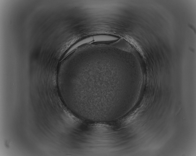 X0000093170393200709261532