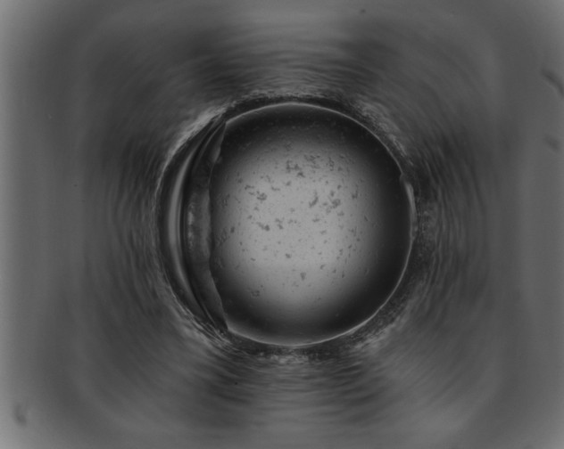 X0000093170395200709261532