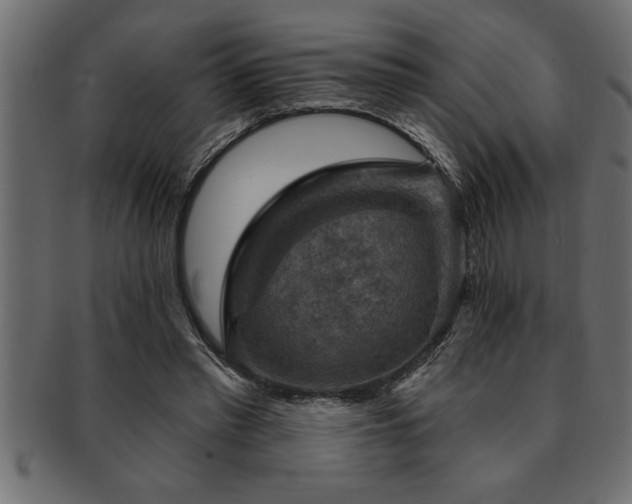 X0000093170397200709261532