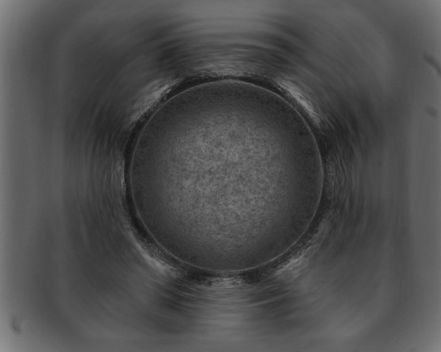 X0000093170398200709261532