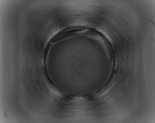 X0000093170399200709261532