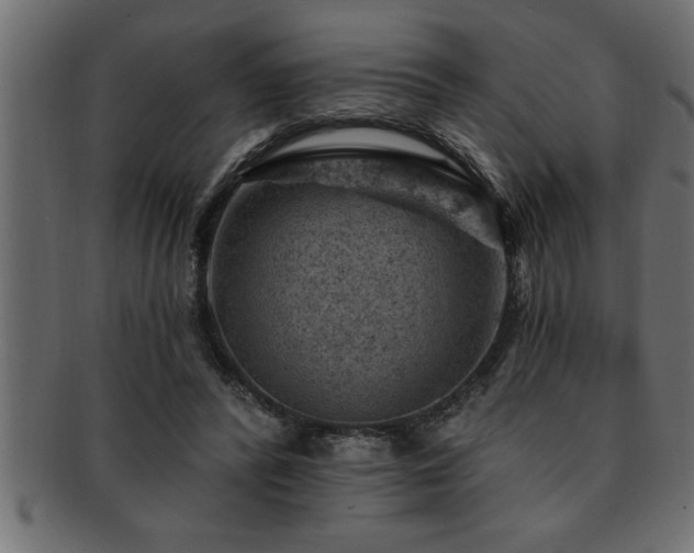 X0000093170400200709261532