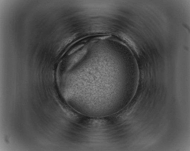 X0000093170401200709261532