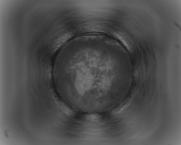 X0000093170402200709261532